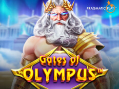 Oyun alanlarının çeşitleri. Casino slot machine games free.39